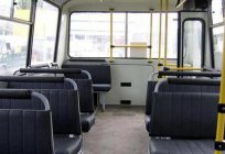 Compactas y de los autobuses de la RANURA: la gama de modelos de