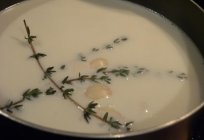 Zwiebeln mit Milch gegen Husten: ein Rezept. Traditionelle Rezepte gegen Husten