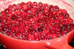 how to store cranberries for the winter