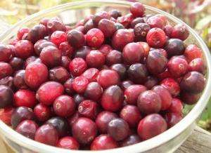 how to store cranberries