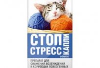 Medication for cats 