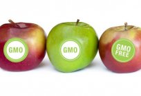 Omg: el beneficio o perjuicio? Productos genéticamente modificados y organismos. La base legislativa