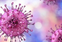 Zytomegalie-Virus - Behandlung, Beschreibung, Symptome und Folgen