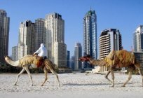 La Población De Los Emiratos Árabes Unidos. Qué pueblos habitan en emiratos árabes unidos