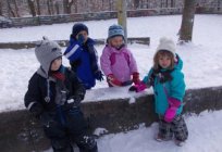 Winter garden in the kindergarten: the design for sanitary standards and requirements of the program