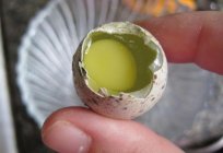 Перепелиные huevos en ayunas: el beneficio y el daño