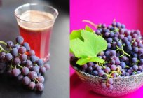Las uvas de moscú: el cultivo con el mejor resultado