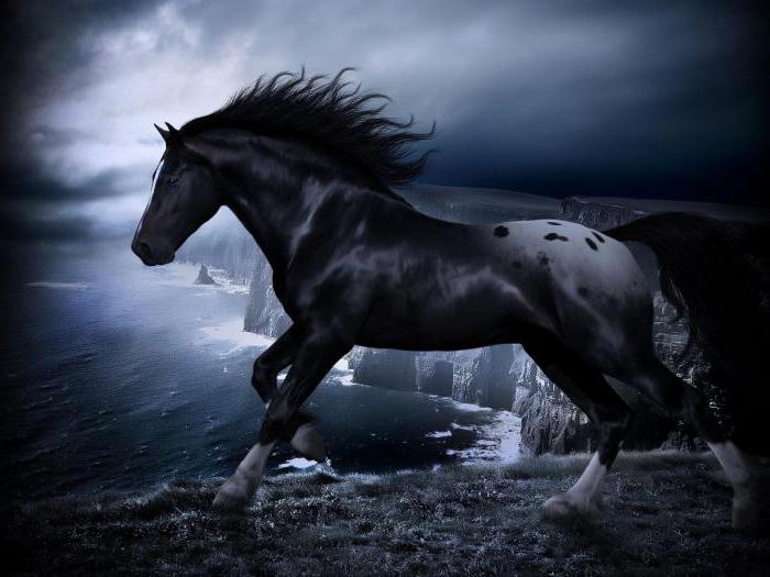 la interpretación de los sueños caballo negro