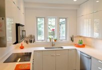 Küchenmöbel für kleine Küche: Fotografie, Design, optimale Farben