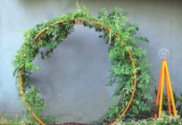 The arch for the flowers on the dacha with his hands