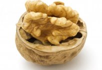 When to harvest walnuts? When you can collect walnuts green