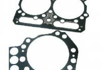 What you need to replace the cylinder head gaskets?