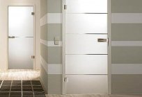 Was Sie wählen Tür für Bad und WC: Fotos, Beispiele