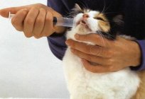 Vaseline oil for cats: make life easier for your cats!