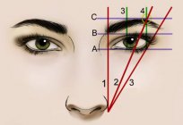 Wie wählen Sie die Form der Augenbrauen die Art von Person? Was sind die Formen der Augenbrauen