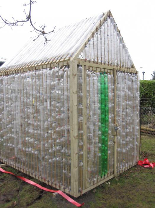 greenhouse from a plastic bottle