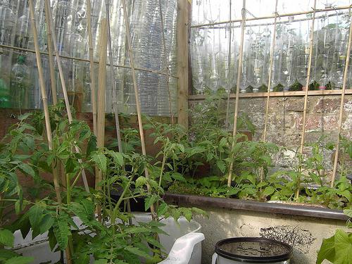 greenhouse from plastic bottles master class