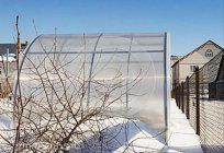 Preparation of polycarbonate greenhouses for the winter – the key to a good harvest