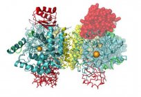 生物作用的磷、氮的身体