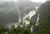 Die Schönheit und Erhabenheit der Wasser-Giganten: was ist der Wasserfall?