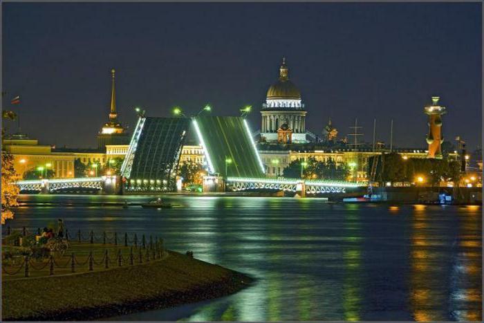 sightseeing tour of St. Petersburg