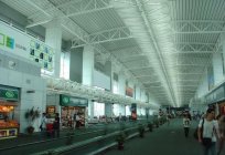 广州机场：描述、照片、如何得到