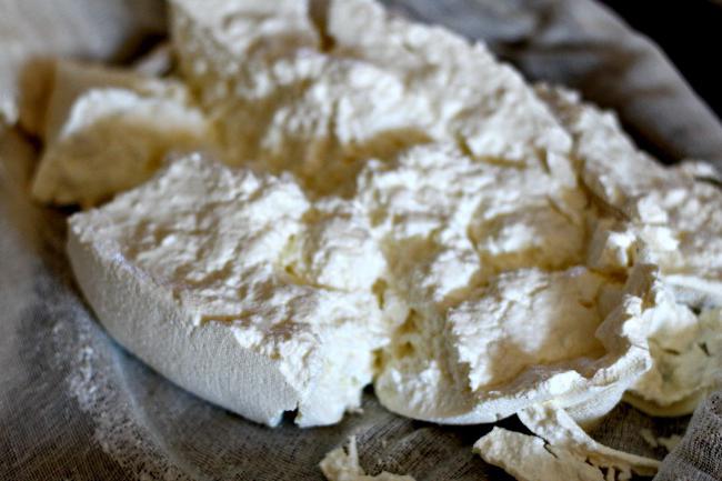 ricotta cheese at home