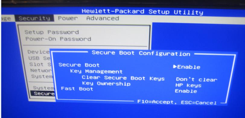 update bios hp