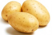 Odmiana ziemniaków 