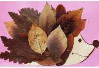 Jak rodzi się kompozycji z jesiennych liści