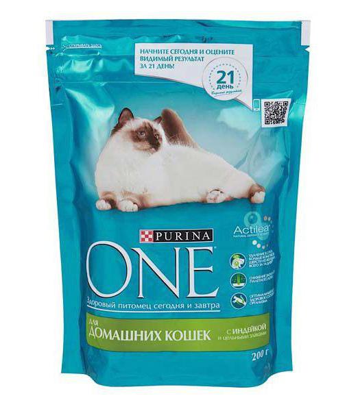 feed Purina for cats price