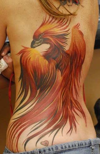 Tattoo of a Phoenix sketches