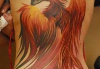 Phoenix tattoo, meaning and sense of the sacred