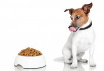 El alimento para perros 