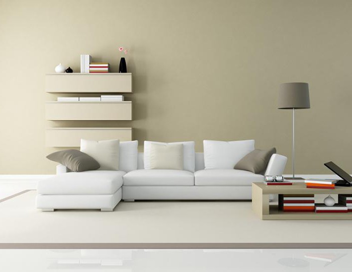 Sofas in a minimalist style