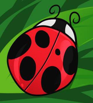 ladybug how to draw