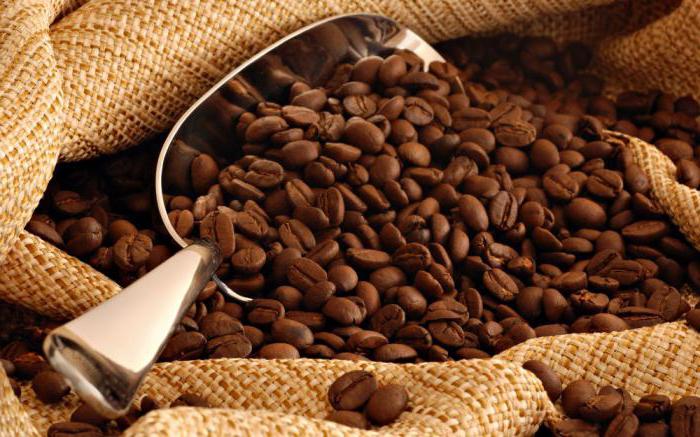 cómo seleccionar los granos de café