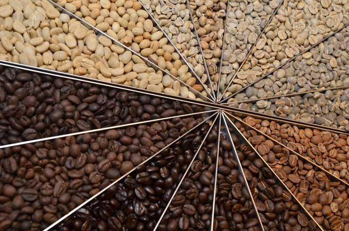 coffee beans how to choose
