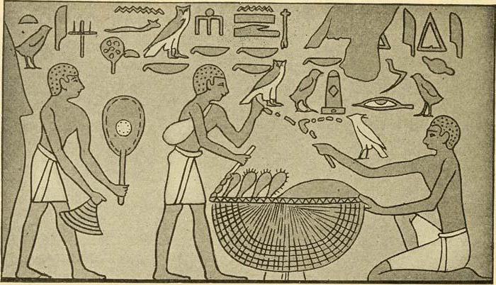 die Entwicklung der Wirtschaft des alten ägypten