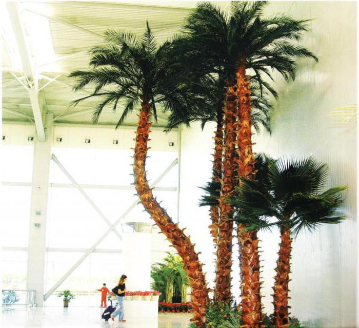 Sztuczna palma