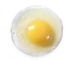 cascas de ovos dieta com foto