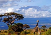 Көрнекті орындар Африка: amazing африка құрлығы