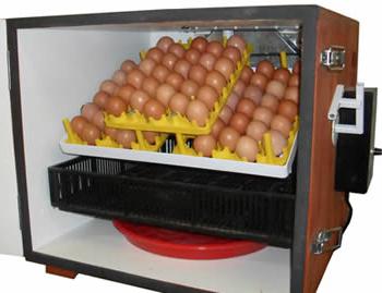 automatic incubator