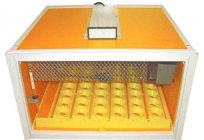 The automatic incubators. Reviews about automatic incubators for eggs