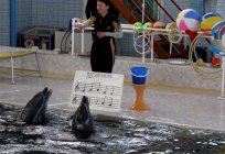 Das Karadager Delphinarium: die Beschreibung und die Rezensionen der Touristen