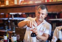 Винзаводи Краснодарського краю: історія, опис. Де знаходяться кращі винзаводи Кубані?