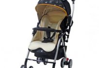 Goodbaby stroller: is it worth buying?