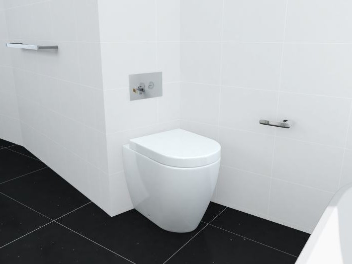 toilet with overhead cistern