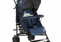 Stroller Glory 1109: pros and cons (reviews). Stroller Glory 1109: description, model features