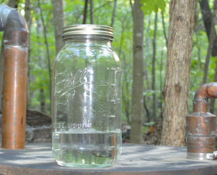 recipe for moonshine tincture on pine nuts